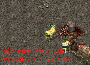 �¿�����˽���ϻ�176��ο��������ϻ������˺���