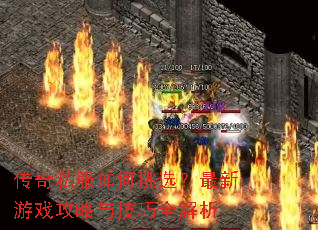 ����˽�������ѡ��������Ϸ�����뼼��ȫ����