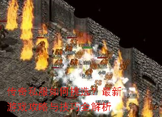 ����˽�������ѡ��������Ϸ�����뼼��ȫ����