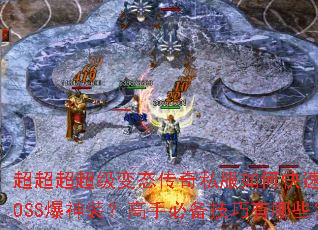 超超超超级变态传奇私服如何快速刷BOSS爆神装?高手必备技巧有哪些? 超超超超级变态传奇私服如何快速刷BOSS爆神装?高手必备技巧有哪些?