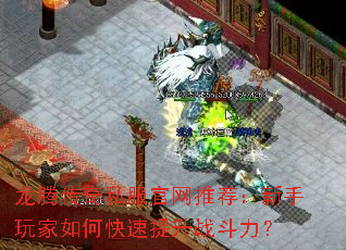 ���ڴ���˽�������Ƽ������������ο�������ս������