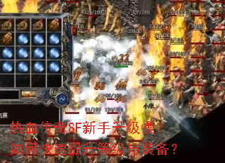 ��Ѫ����SF��������������ο��������ȼ���װ����