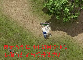 ����΢��˽������ο��ٻ�ȡϡ��װ��������ս����