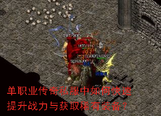 ��ְҵ����˽������ο�������ս�����ȡϡ��װ����