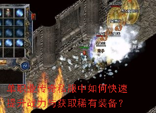 ��ְҵ����˽������ο�������ս�����ȡϡ��װ����