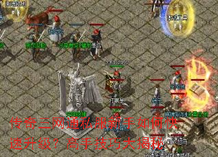 传奇三网通私服新手如何快速升级?高手技巧大揭秘 传奇三网通私服新手如何快速升级?高手技巧大揭秘