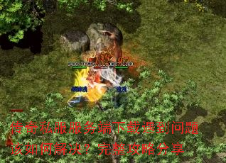 ����˽����������������������ν�����������Է���