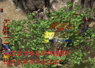 �ϻ��洫����ο�������ս�����ȡ����װ����