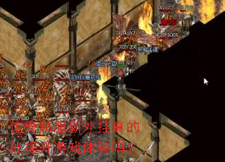 ����˽������������������Ϸ������