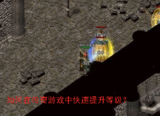 如何在传奇游戏中快速提升等级? 如何在传奇游戏中快速提升等级?