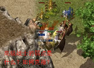 �߼�սʿ��������ʲô����ο˷���