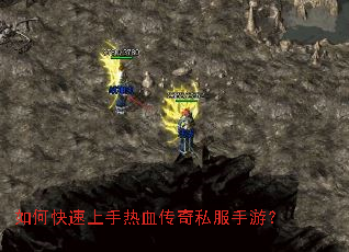 ��ο���������Ѫ����˽�����Σ�