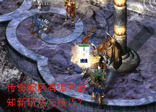 ������������Щ��֪���淨�뼼�ɣ�