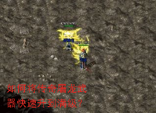 ��ν���������������������������