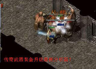 ��������װ���������·���ƪ��