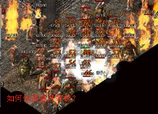 ��ο��������ȼ���