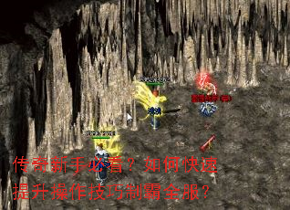 �������ֱؿ�����ο����������������ư�ȫ����