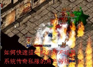 ��ο�������M2���ó弶��ϵͳ����˽���Ľ�ɫ�ȼ���