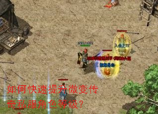 如何快速提升微变传奇私服角色等级? 如何快速提升微变传奇私服角色等级?