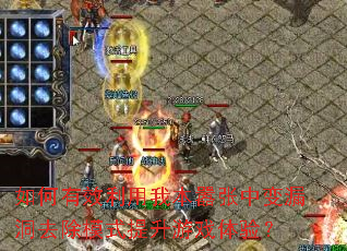 �����Ч�����ұ������б�©��ȥ��ģʽ������Ϸ���飿