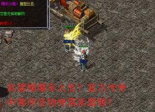 �ϱ��ݱ���̫�ͣ����Ŵ�������Щ��������ϱ��ݣ�