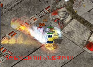 �������ׯ԰��ʲô���ܺ����ã�