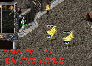 �����Ч����sf999���Ŵ�������������ֵ��