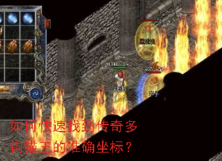 ��ο����ҵ�����๳è����׼ȷ���ꣿ