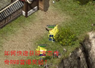 ��ο��ٻ�ȡ��̬����RMB�ױ�������