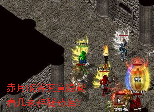 赤月峡谷究竟隐藏着几家神秘药店? 赤月峡谷究竟隐藏着几家神秘药店?