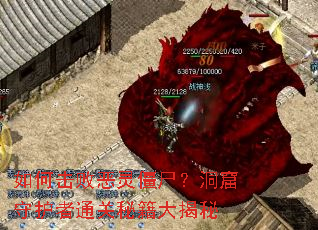 ��λ��ܶ��齩ʬ�������ػ���ͨ���ؼ������