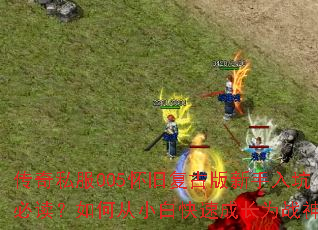 传奇私服005怀旧复古版新手入坑必读?如何从小白快速成长为战神? 传奇私服005怀旧复古版新手入坑必读?如何从小白快速成长为战神?