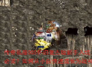 ����˽��005���ɸ��Ű�������ӱض�����δ�С�׿��ٳɳ�Ϊս��