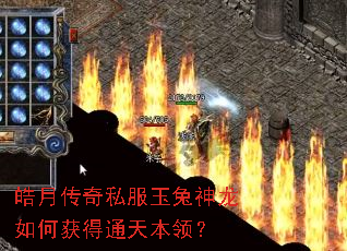 皓月传奇私服玉兔神龙如何获得通天本领? 皓月传奇私服玉兔神龙如何获得通天本领?