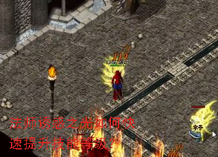 ��ʦ�ջ�֮����ο����������ܵȼ���