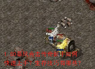 1.80����ϻ�����������ο������֣����漼������Щ��