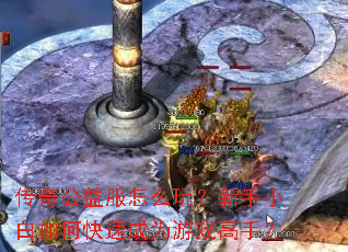 传奇公益服怎么玩?新手小白如何快速成为游戏高手? 传奇公益服怎么玩?新手小白如何快速成为游戏高手?