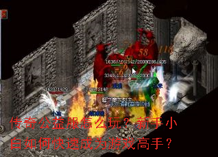 ���湫�����ô�棿����С����ο��ٳ�Ϊ��Ϸ���֣�