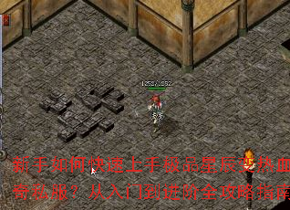 ������ο������ּ�Ʒ�ǳ�����Ѫ����˽���������ŵ�����ȫ����ָ��