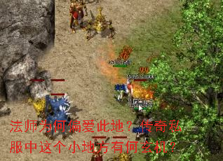 ��ʦΪ��ƫ���˵أ�����˽�������С�ط��к�������