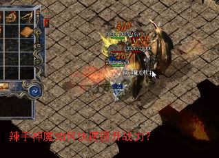 ������ħ��ο�������ս����