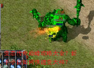 ��̬�����۷幥�Դ�ȫ������С����ο��ٱ����