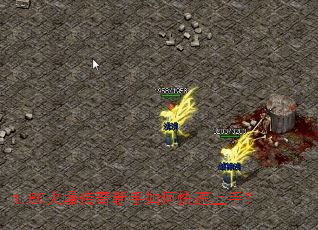 1.80�𱬴���������ο������֣�