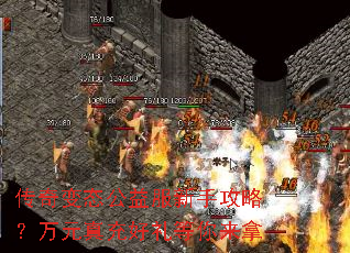 �����̬��������ֹ��ԣ���Ԫ�������������