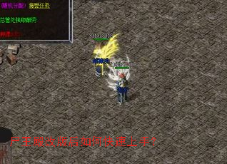 尸王殿改版后如何快速上手? 尸王殿改版后如何快速上手?