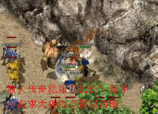 ɢ�˴���˽����ô�棿����С�������ָ���������