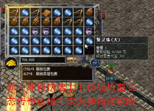 新手如何快速上手新版热血变态传奇私服?求大神指点攻略 新手如何快速上手新版热血变态传奇私服?求大神指点攻略