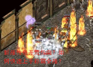 �·����濪��ָ�ϣ���ο������ֳư�ȫ����