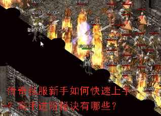 ����˽��������ο������֣����ֽ����ؾ�����Щ��