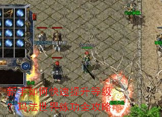 ������ο��������ȼ����귨��������ȫ����